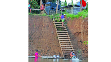 Vida que emerge del río