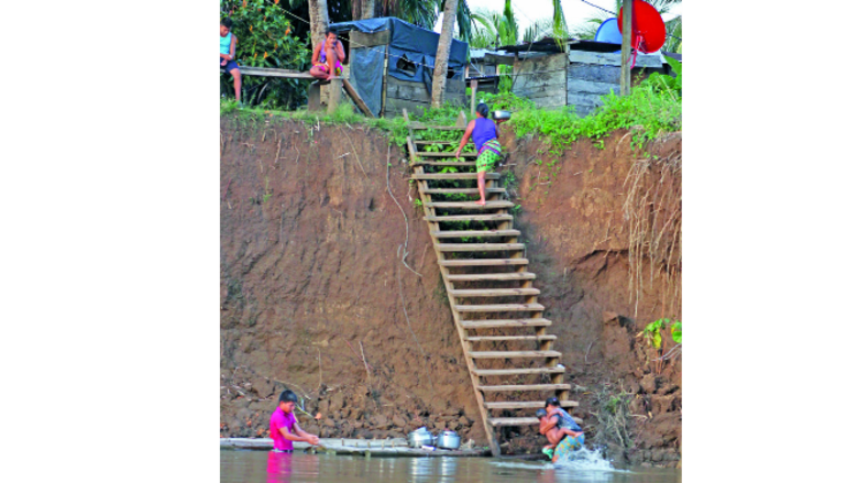 Vida que emerge del río