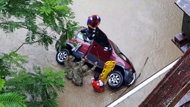 Puerto Armuelles: accidente vehicular deja un muerto en Las Mellizas