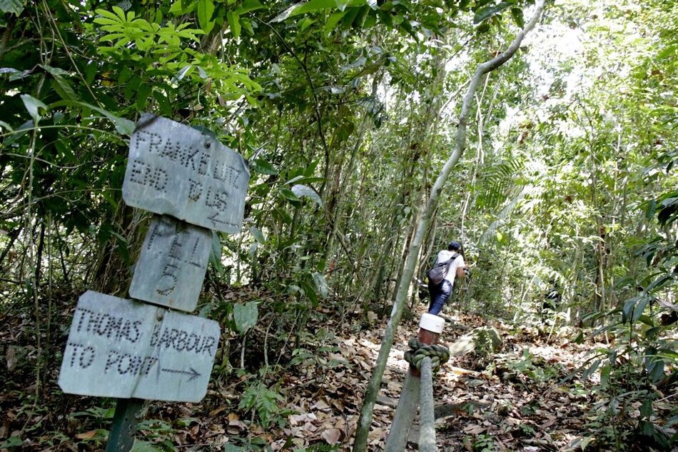 Movimiento Ciencia Panamá reacciona ante denuncias de acoso en el STRI