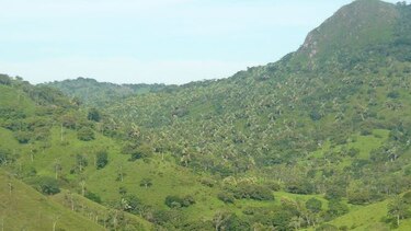 Solicitan protección para 42 ojos de agua en cuenca alta del río La Villa