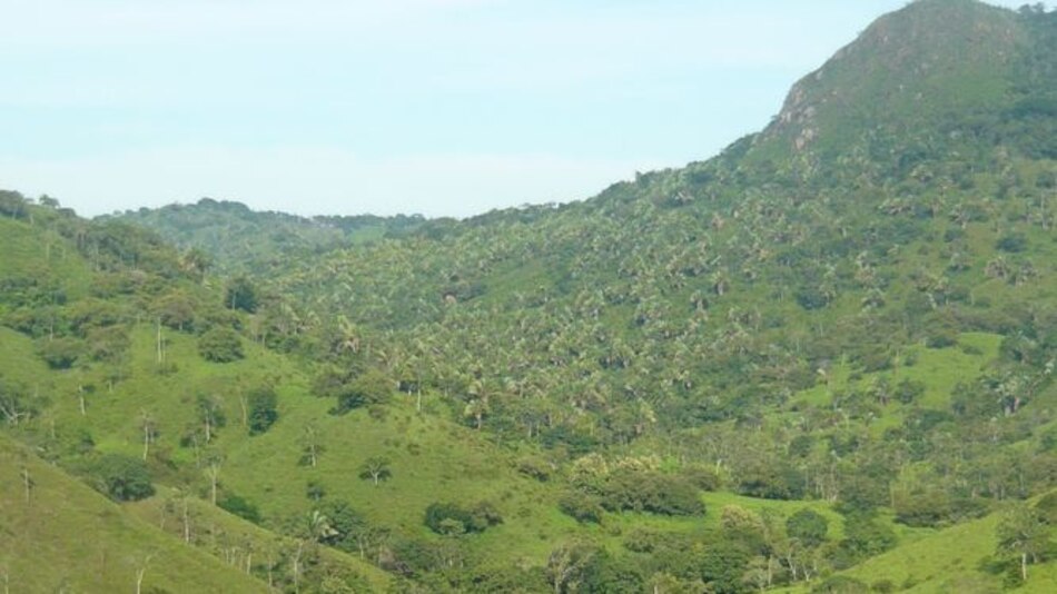 Solicitan protección para 42 ojos de agua en cuenca alta del río La Villa