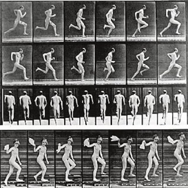 Primeras fotos con flujo de seres vivos