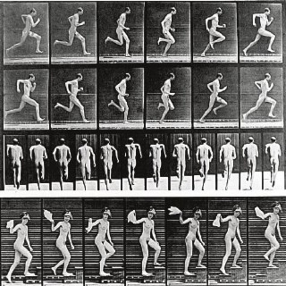 Primeras fotos con flujo de seres vivos