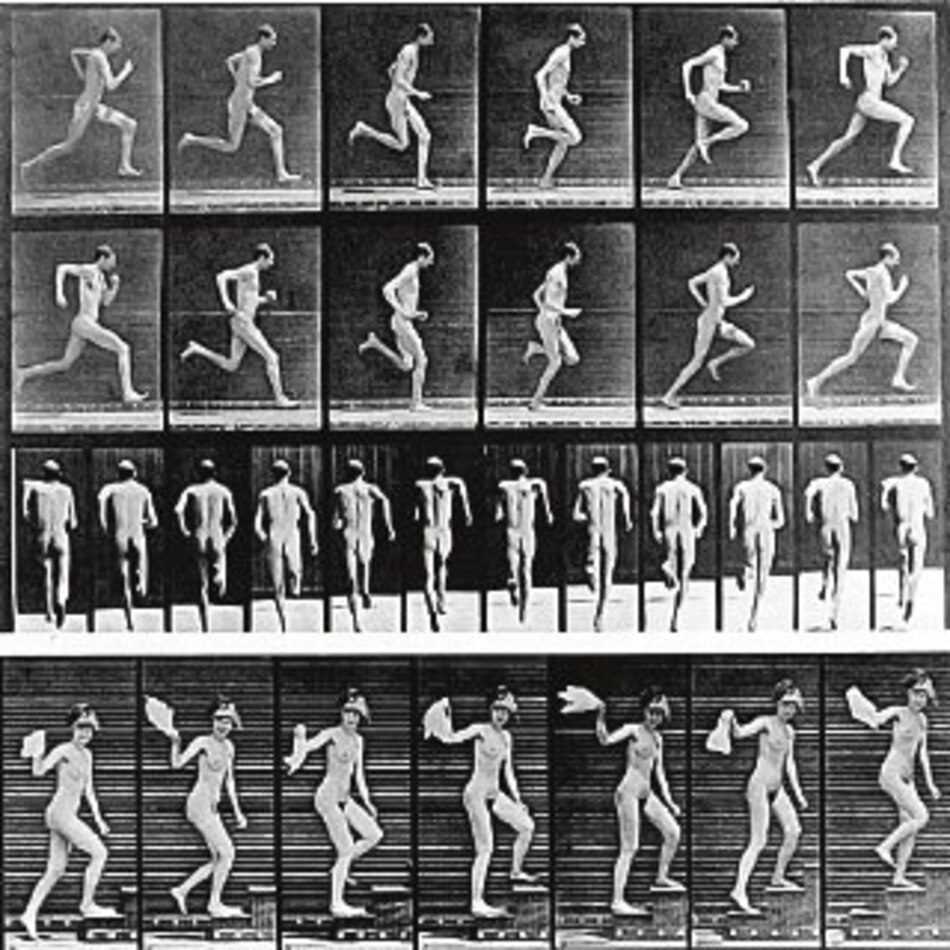 Primeras fotos con flujo de seres vivos