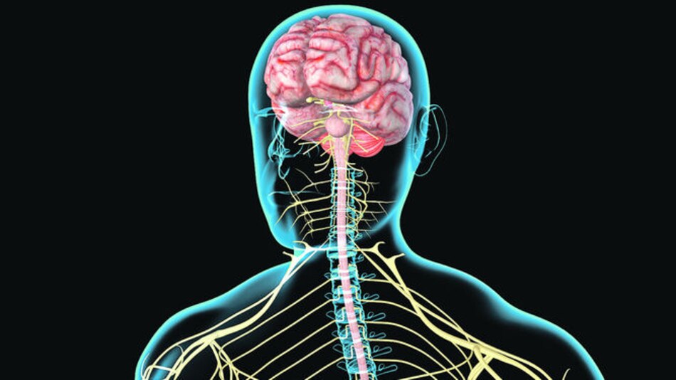 Identifican el primer marcador genético de la gravedad de la esclerosis múltiple