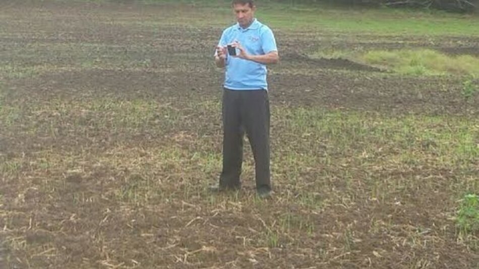 Falta de lluvias afectó a más de 400 hectáreas de arroz en Los Santos