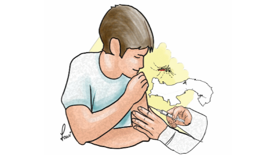 El porqué de la vacuna contra la fiebre amarilla