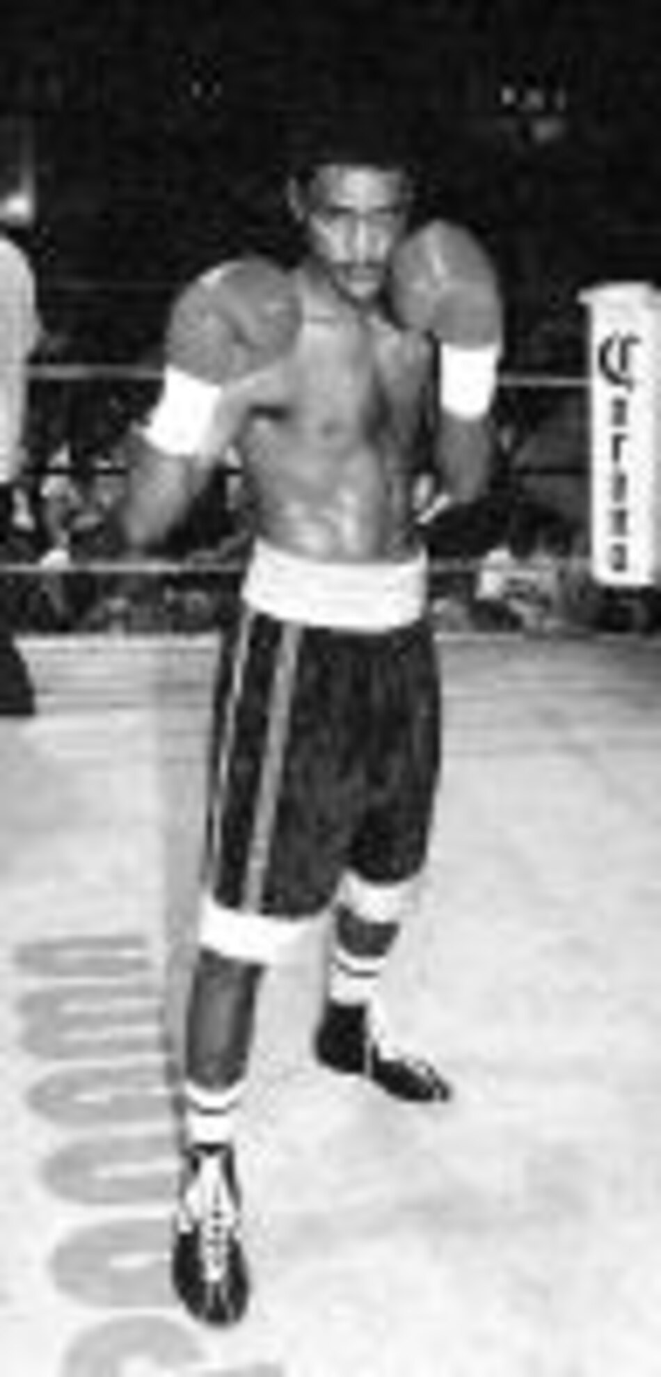 Lograré la victoria por cualquiera ruta, Frutos