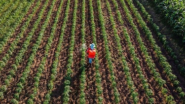 Cinco impactos de los altos precios del petróleo en la vida cotidiana de las personas