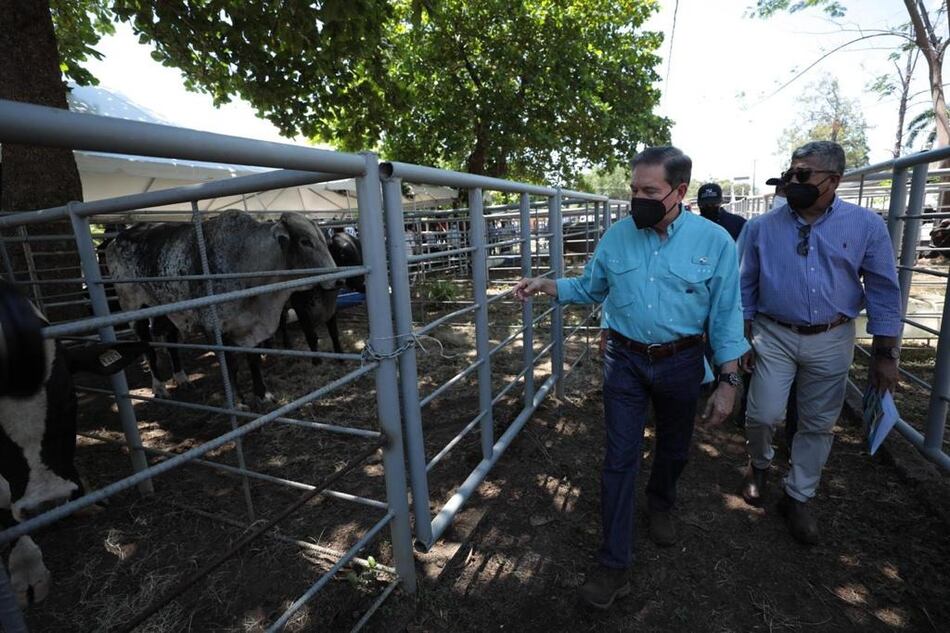 Cortizo planea sancionar ley que elimina la Aupsa el 30 de marzo