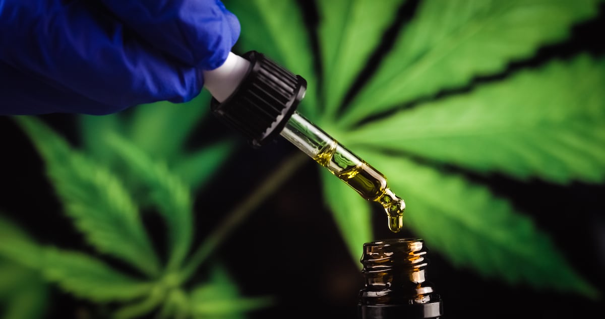 Cannabis medicinal en Panamá: uso y acceso dependerán de la indicación médica
