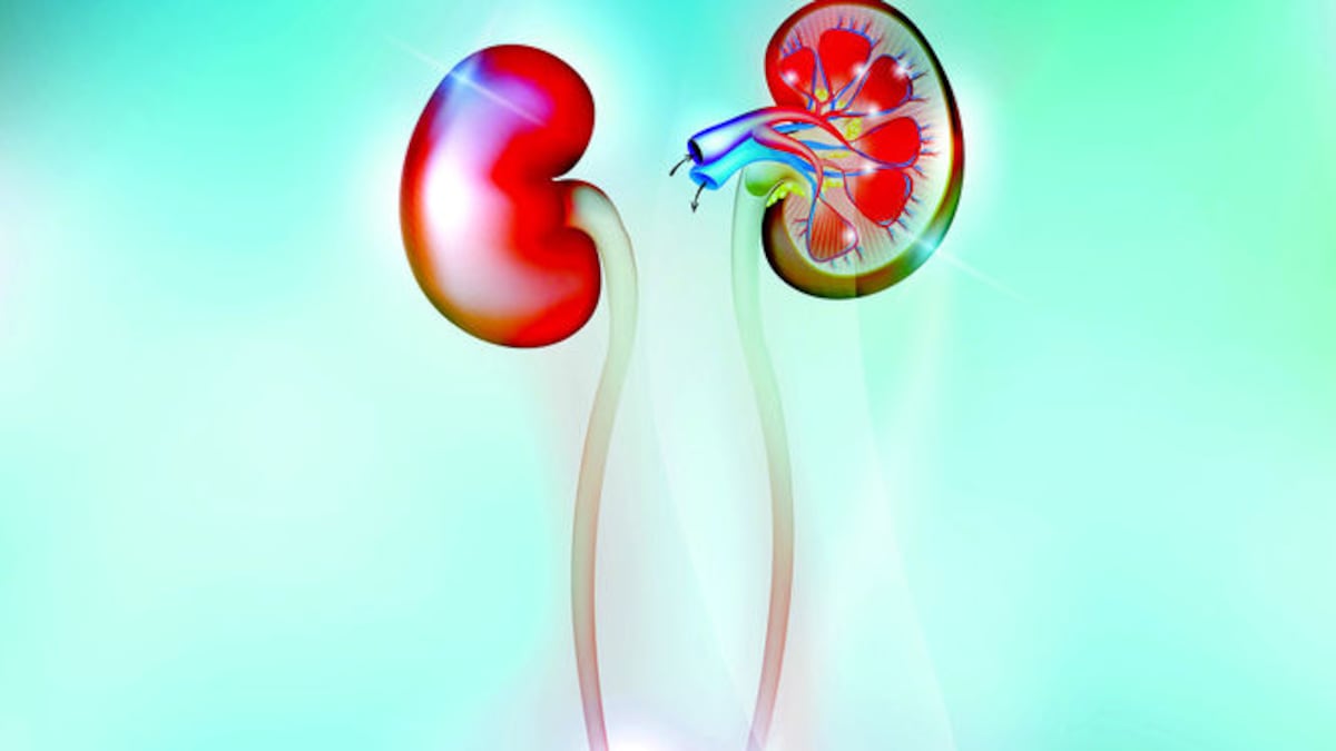 Fotolia