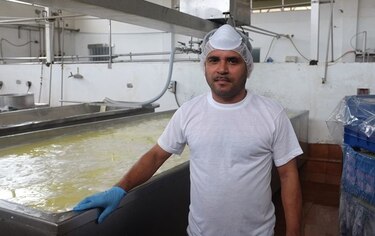 El maestro de los quesos