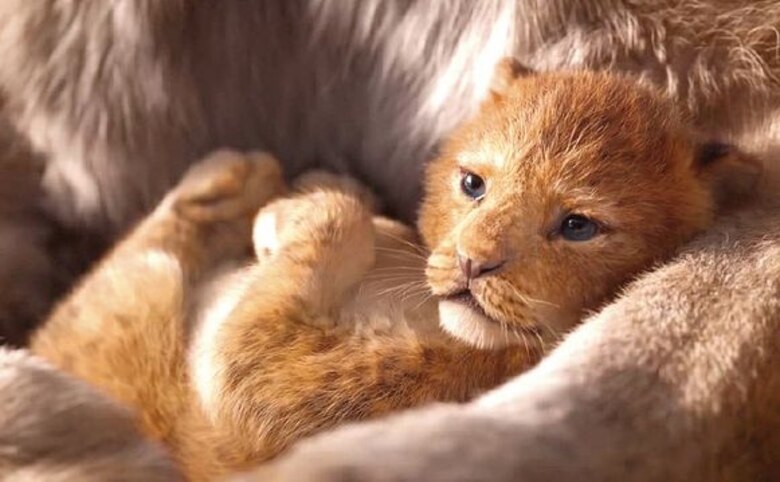 El cine de Hollywood trae más secuelas para 2019