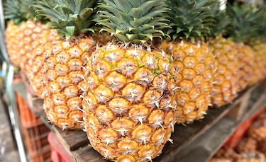 Coronavirus potencia exportación de piña a mercado europeo