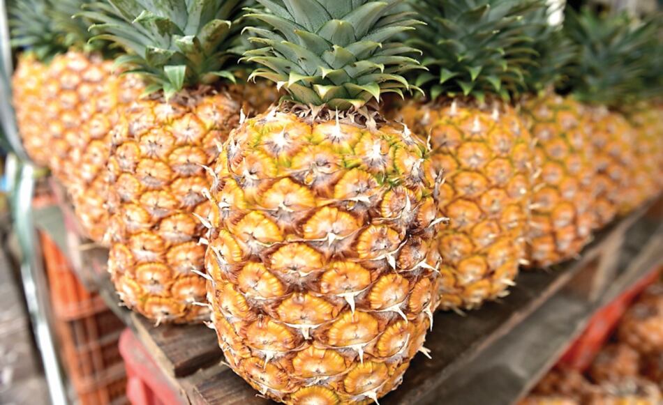 Coronavirus potencia exportación de piña a mercado europeo