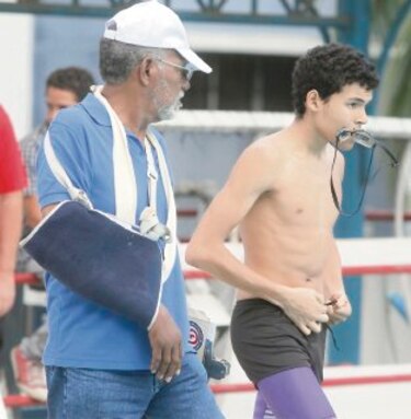 El cerebro de los Delfines