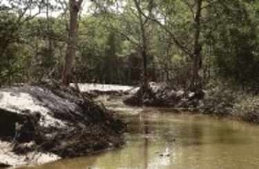 La Barqueta, una tormenta en la playa