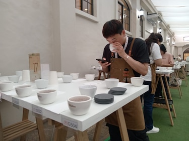 Café geisha panameño rompió récord al venderse en más de $30 mil por kilo 