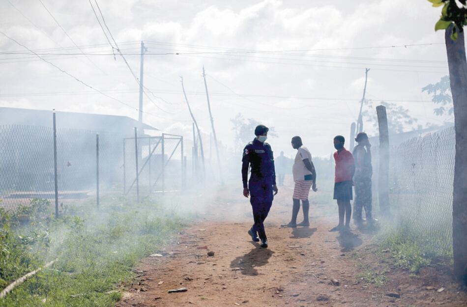 El 60% de las regiones tiene un alto índice de infestación por dengue