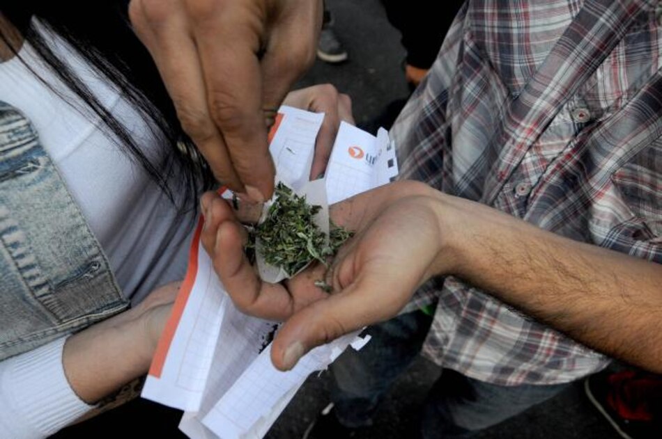 Centenares de empresas solicitan permiso para cultivar marihuana en Canadá