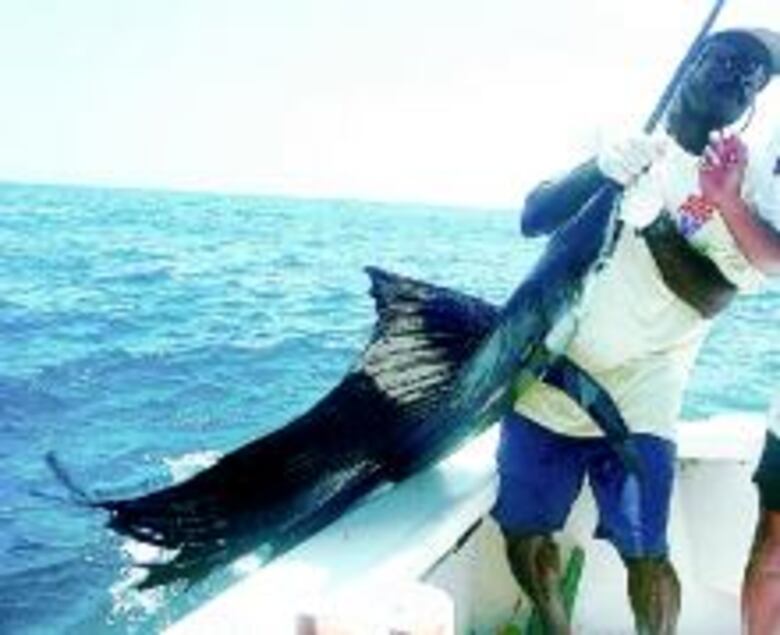 Los secretos de la pesca