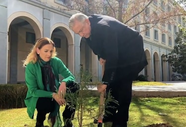 Presidente de México planta un árbol en honor a las víctimas del Covid-19