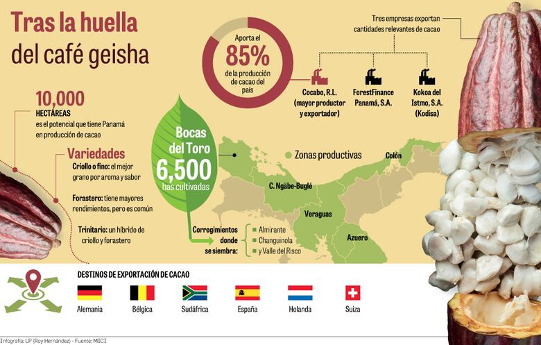 El turno del cacao fino y aromático