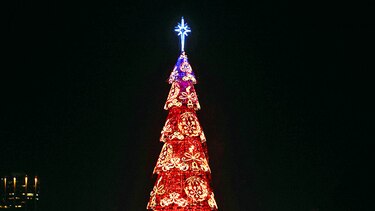 El árbol que ilumina a Brasil