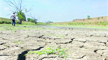 Autoridades y técnicos elaboran informe sobre sequía y degradación del suelo