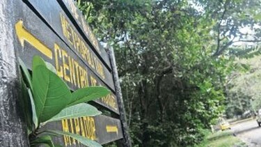 El Gobierno concesionará servicios en las reservas