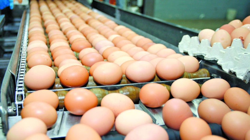 Cuatro alimentos que se descomponen más rápido