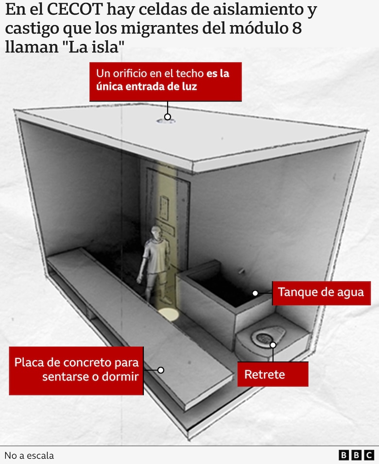 La brutalidad en la megacárcel de Bukele que denuncian 8 de los venezolanos deportados por Estados Unidos: ‘bienvenidos al cementerio de hombres vivos’