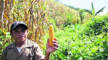 Desasosiego en el Tabasará