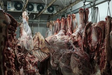 La Unión Europea devolverá a Brasil la carne presuntamente adulterada