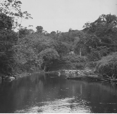 Río Indio en 1963, según el geólogo Robert Stewart