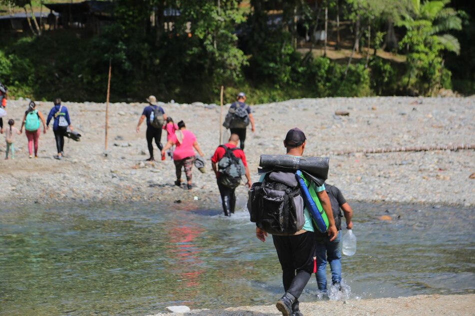 Cada día entra en promedio 1,160 migrantes irregulares por la selva de Darién