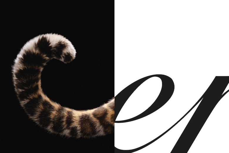 Cartier celebra a su ícono felino