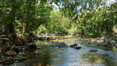 Panamá destaca el papel de las cuencas hidrográficas en la protección del agua y los ecosistemas