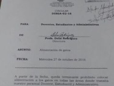 Polémica por matanza de gatos en la Universidad de Panamá