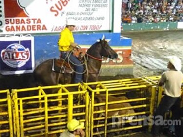Chiriquí Occidente gana campeonato de lazo