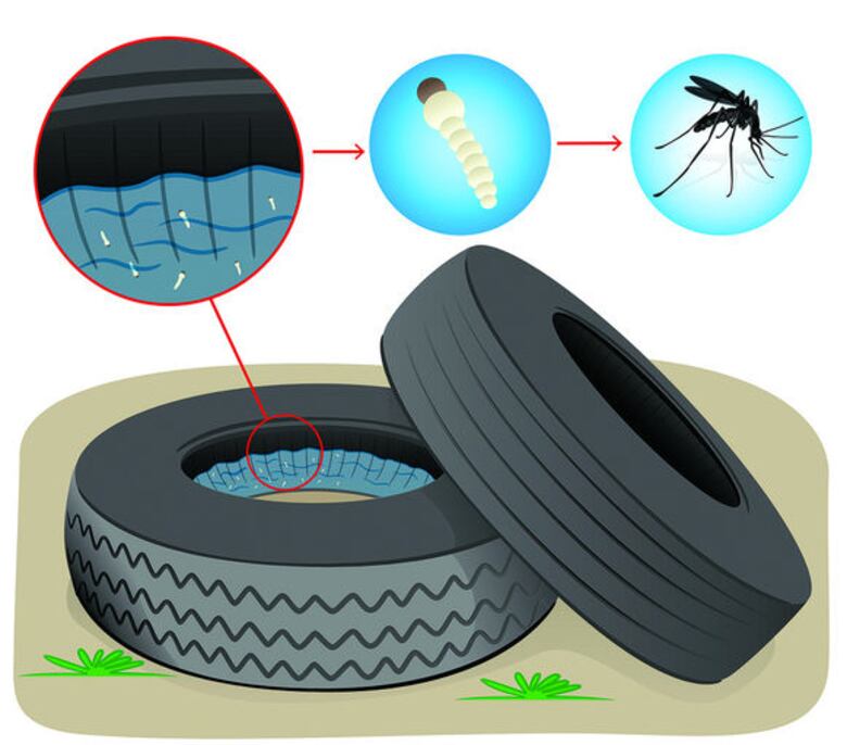 Más allá de las enfermedades infecciosas
