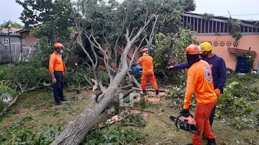 Reportan caída de árboles en Panamá Oeste y vías anegadas en la capital tras fuerte lluvia