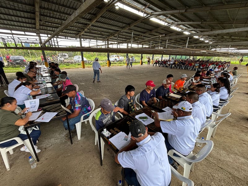Más de 450 personas acuden al primer día de feria para contratación de personal de Chiquita en Bocas del Toro