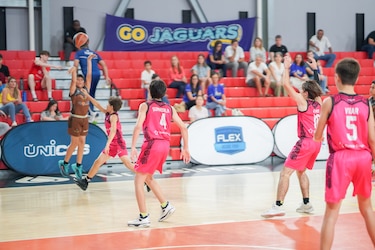 Ludos: IJA, Chino Panameño, Colegio Javier e Instituto Albert Einstein afirman liderato