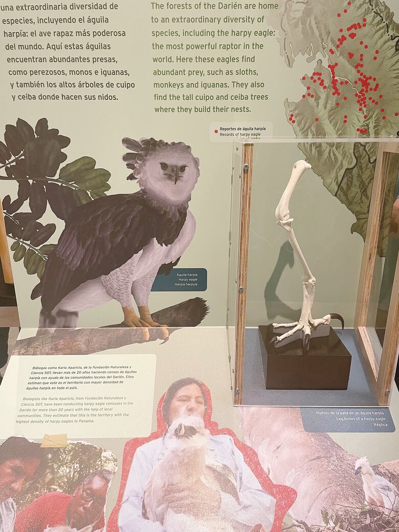 Descubra los secretos de los bosques del Darién