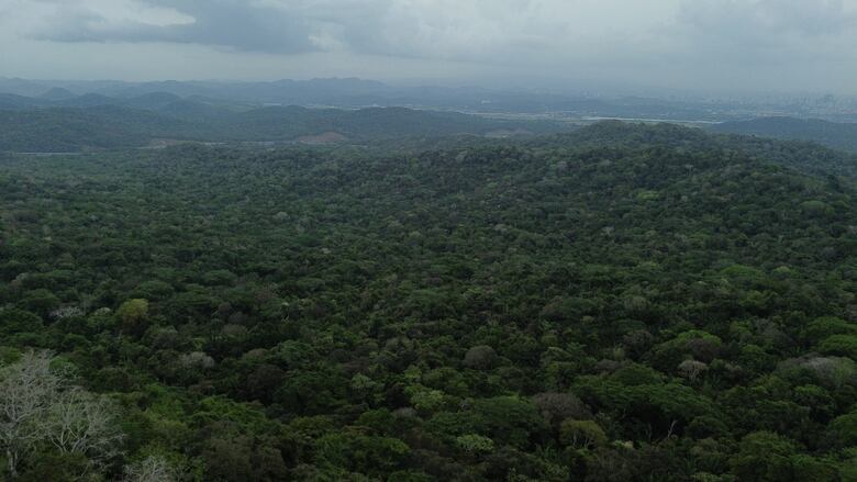 Sin rastro de Leopoldo Lester: Ministerio Público asume investigación tras 8 días de búsqueda en Loma Cová