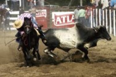 Imágenes Un día de hierra: ¡Vuelta campana!