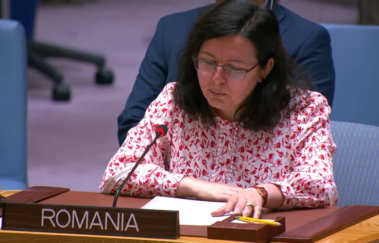 En vivo: Continúa el debate sobre la seguridad marítima, liderado por Panamá en el Consejo de Seguridad de la ONU